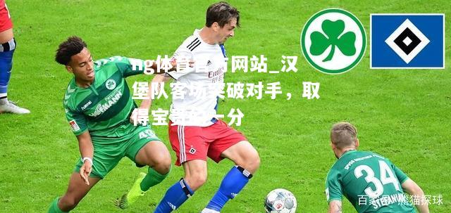 ng体育官方网站_汉堡队客场突破对手，取得宝贵的一分