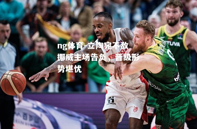 ng体育-立陶宛不敌挪威主场告负，晋级形势堪忧