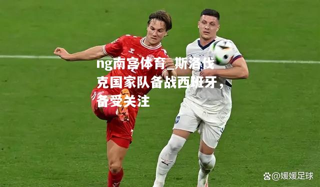 ng南宫体育_斯洛伐克国家队备战西班牙，备受关注