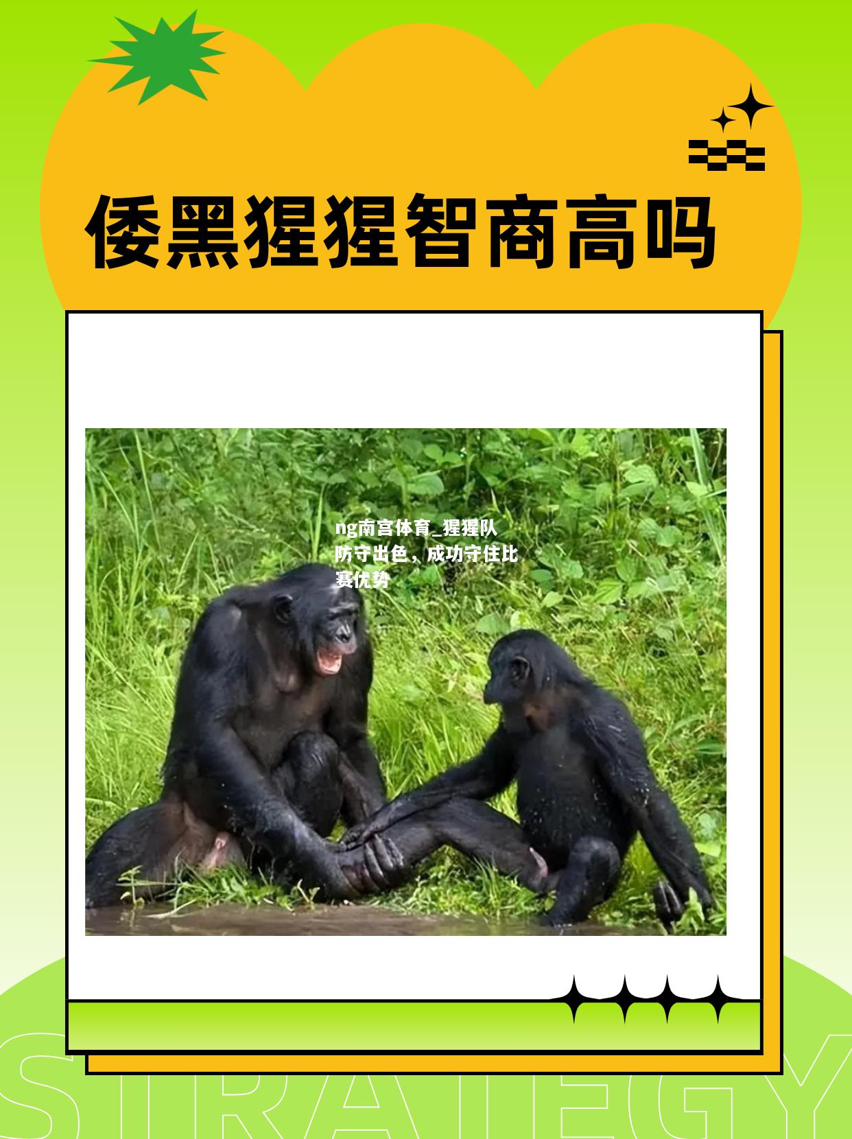 ng南宫体育_猩猩队防守出色，成功守住比赛优势